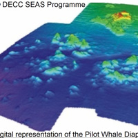 12. Digital representation of the Pilot Whale Diapirs at North-east Faroe-Shetland Channel Nature Conservation MPA. Image provided by DECC SEA Programme.