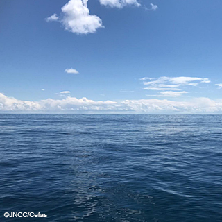 RM-OutAtSea©JNCC-Cefas.jpg