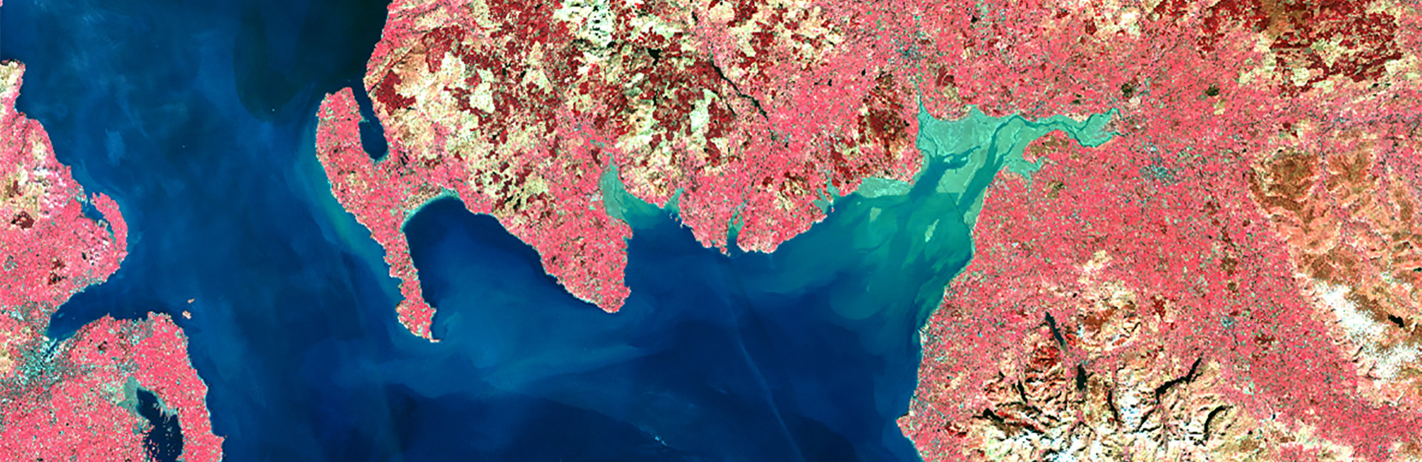 JNCC wins Geography in Government award