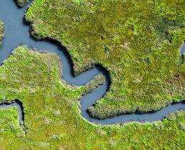 Sefyllfa Byd Natur 2023