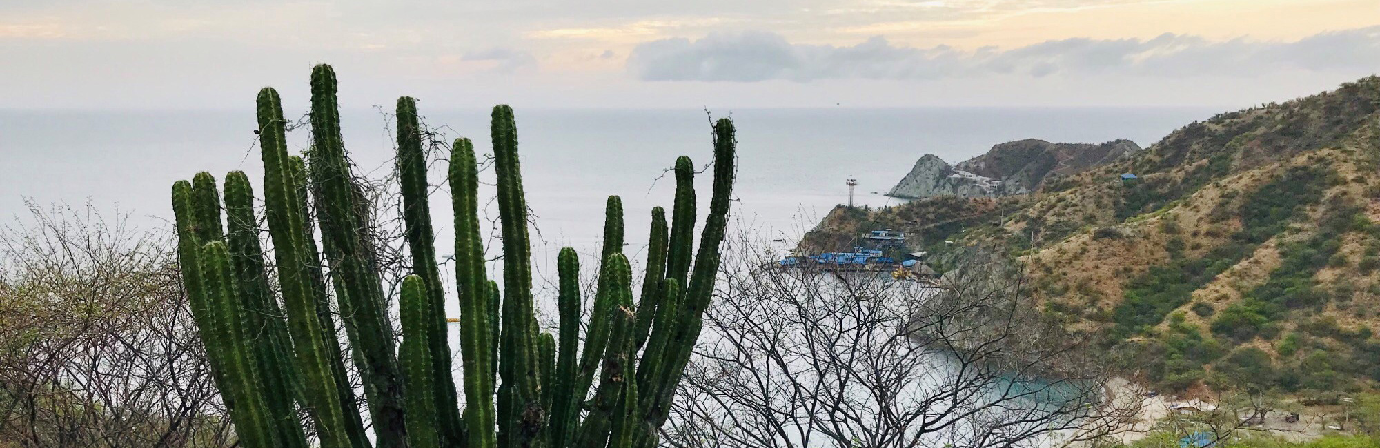 JNCC staff lead support for the evolution of the world’s largest trans-national MPA network