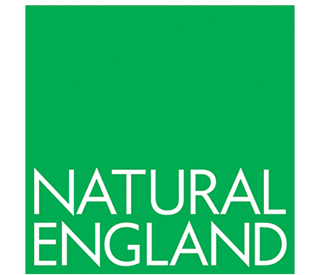 n-e-logo320-320-v4.jpg