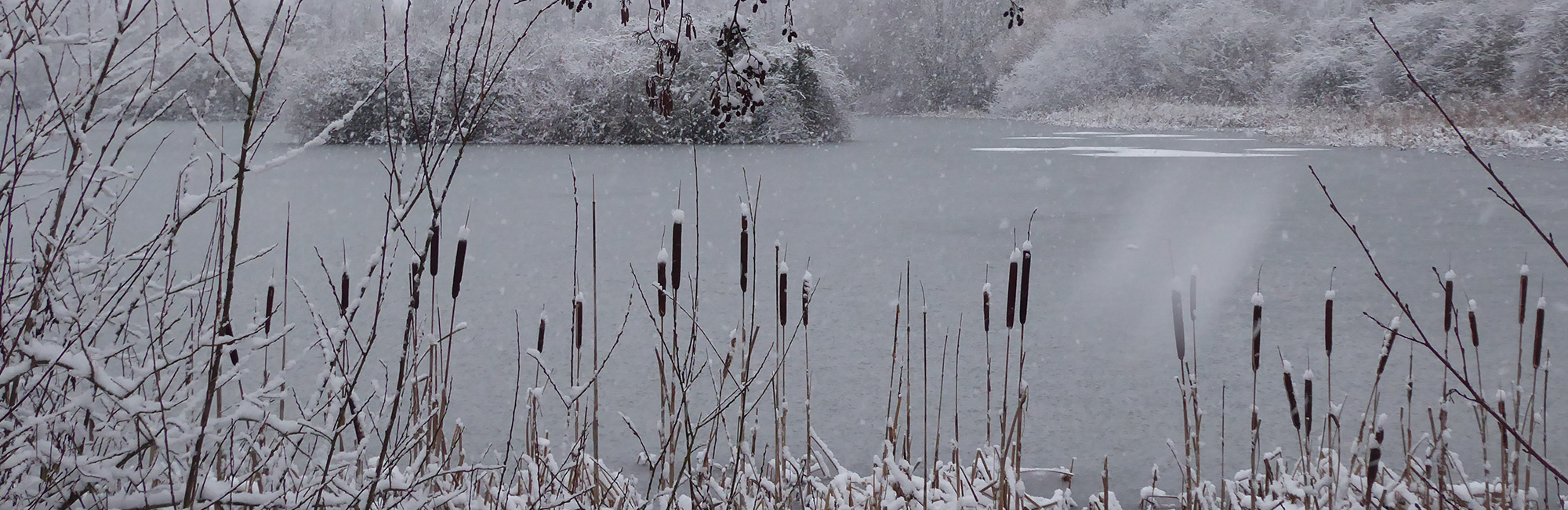 Severe weather announcement January 2026