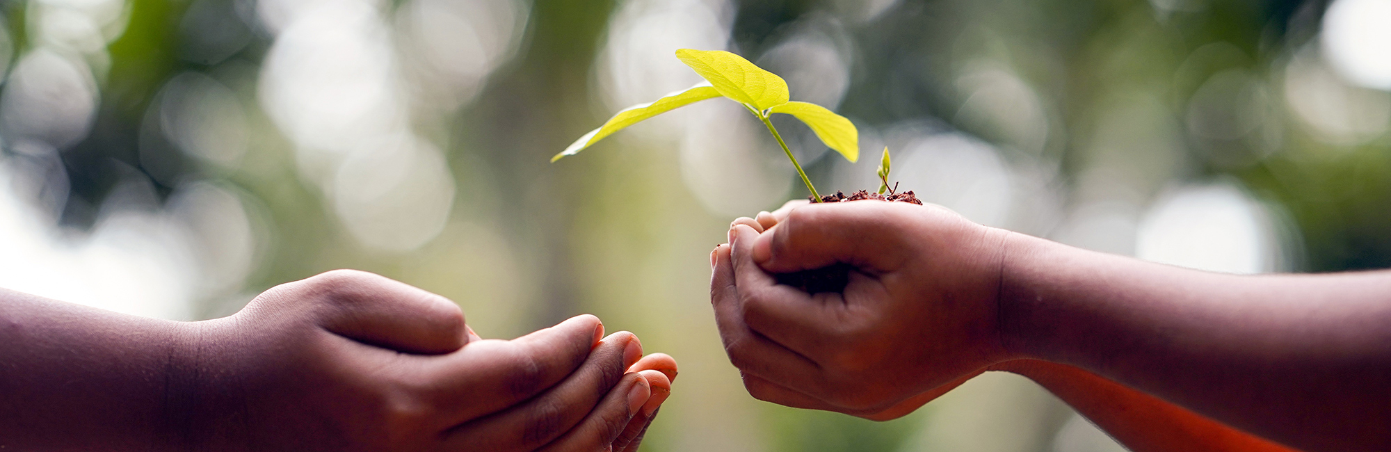 JNCC welcomes new Kunming-Montreal Global Biodiversity Framework