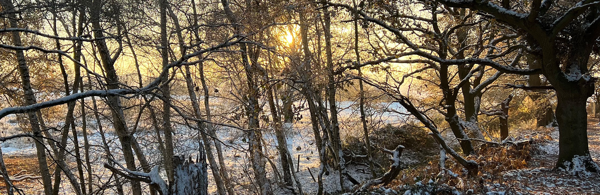 JNCC Bulletin December 2022