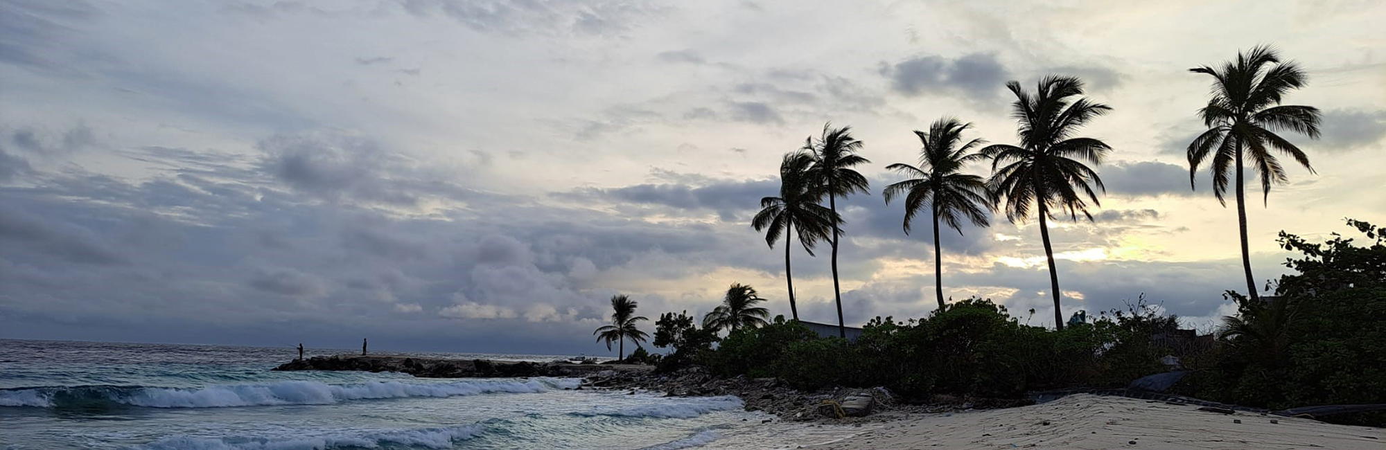 Management review of Marine Protected Areas in the Maldives published