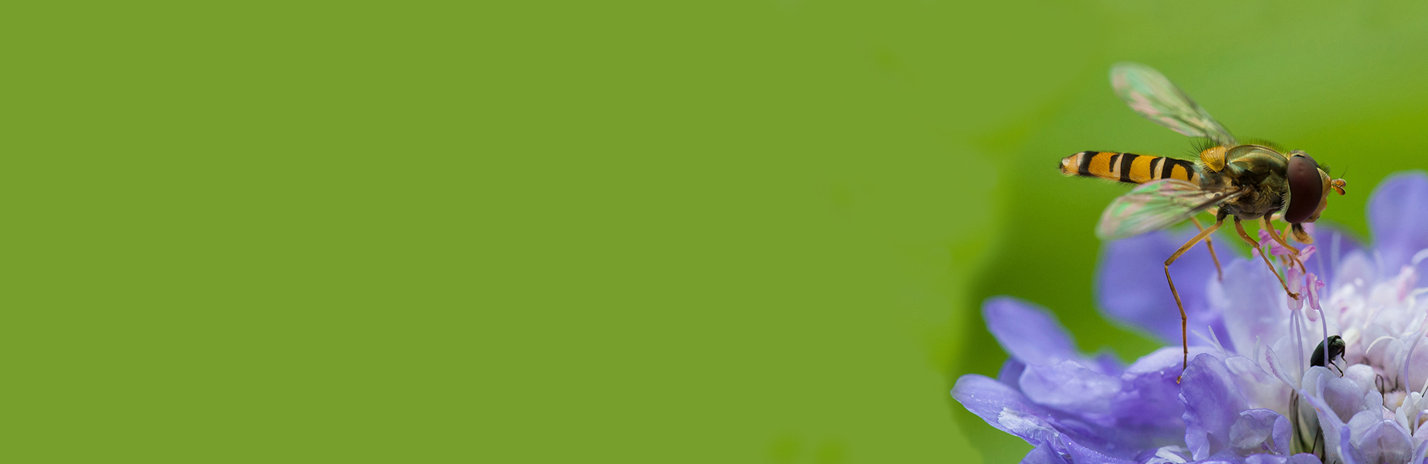 New Pollinator Monitoring partnership agreement