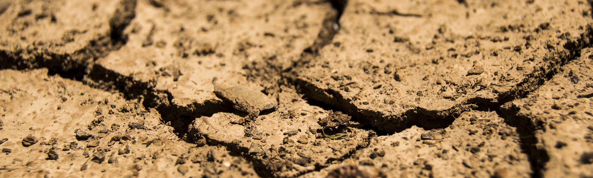 First step made towards a soil health indicator