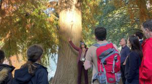 kew-visit-workshop-group-pic-300px-crop.jpg