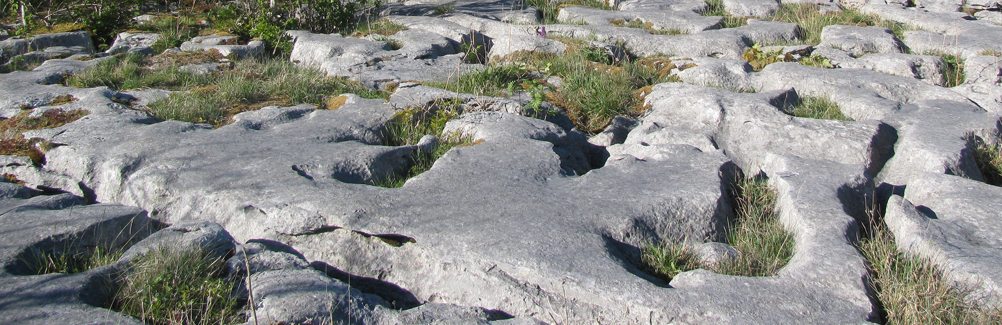 UK Protected Areas Joint Statement published