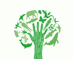 Nature News Spring 2024