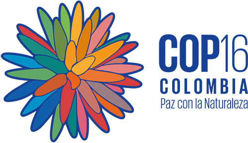 COP16