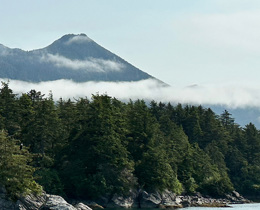 New Management Effectiveness of Protected and Conserved Areas (MEPCA) tool launched
