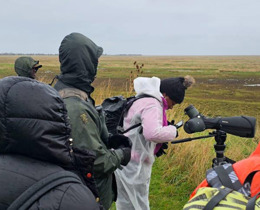 Building Biodiversity Capacity in Montserrat: Reflections on a Transformative Training Week