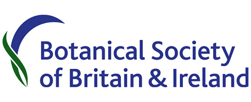 bsbi-490-200.jpg