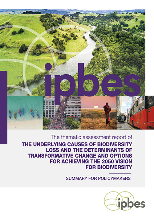 2024-cover-tfc-assessment-v2-spm-500px.jpg
