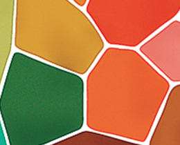 UK National Biodiversity Strategy and Action Plan launched