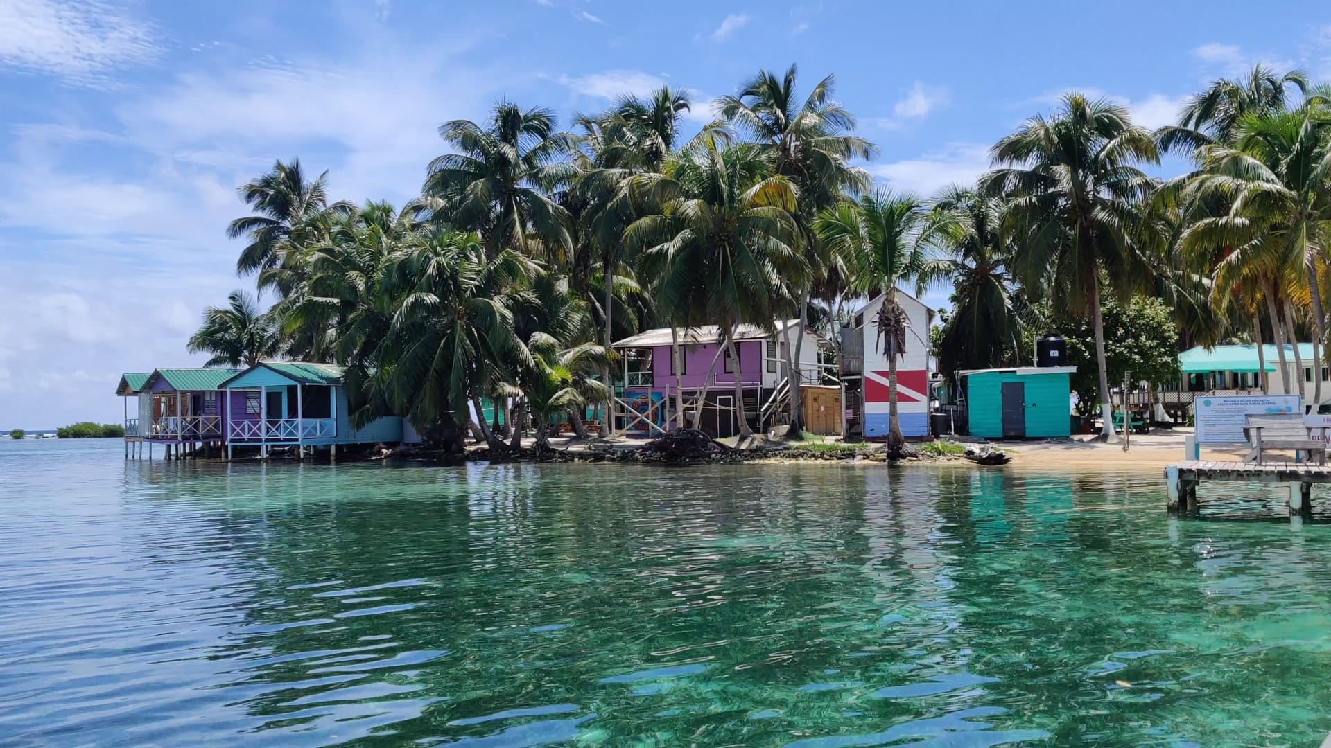 Photo of island in Belize with palm trees, sea and beachfront buildings