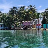 Photo of island in Belize with palm trees, sea and beachfront buildings