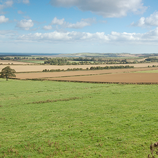 A colour photograph of a farmland plain (copyright Natural England / Steve Pullan)