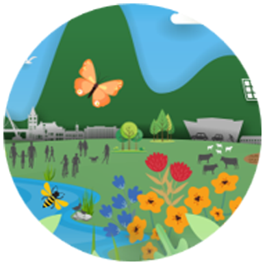 Landscape graphic