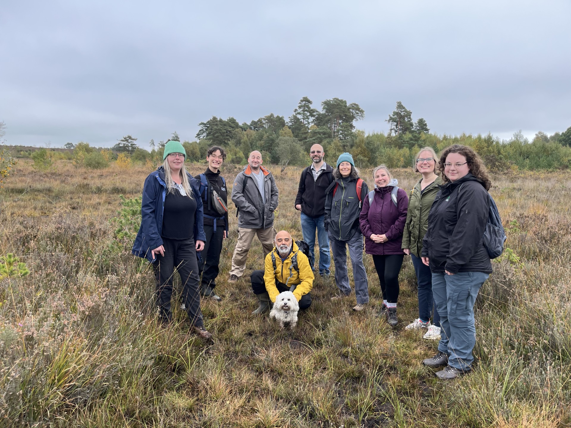 A group on people and a dog on Thursley Common Heathland