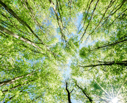 New scientific partnership for climate and nature