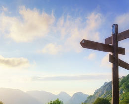 Beyond Technology: Promoting Peatlands in the UK's Carbon Capture Portfolio