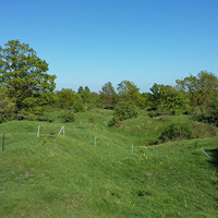 Photograph of the landscape at Barnack Hills and Holes. The landscape is grass covered and gently undulating, with trees and bushes in the backgroun