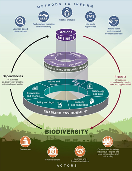 Overview of the business and biodiversity assessment © IPBES