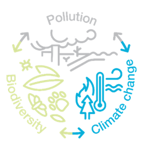 Infographic, showing pollution, climate change and biodiversity in a circle, highlighting the interlinkages between the two and representing the triple planetary crisis