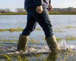 Equity and fairness – ‘gold standard’ or essential to climate and nature solutions?