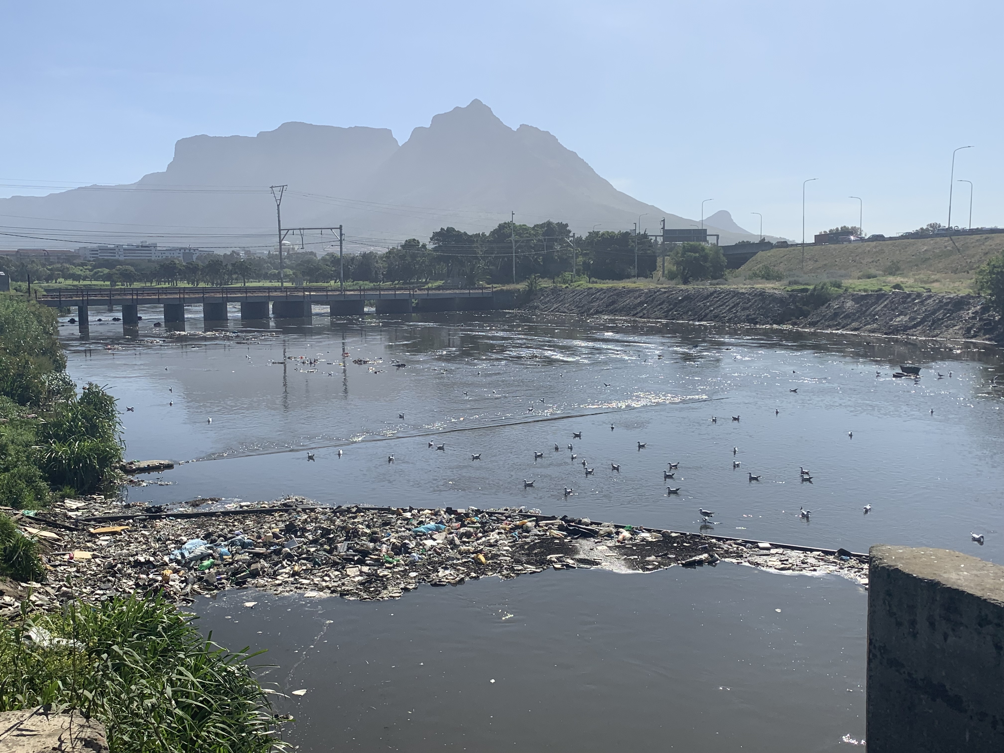 River body with litter boom filled with solid waste. Mountain in the background