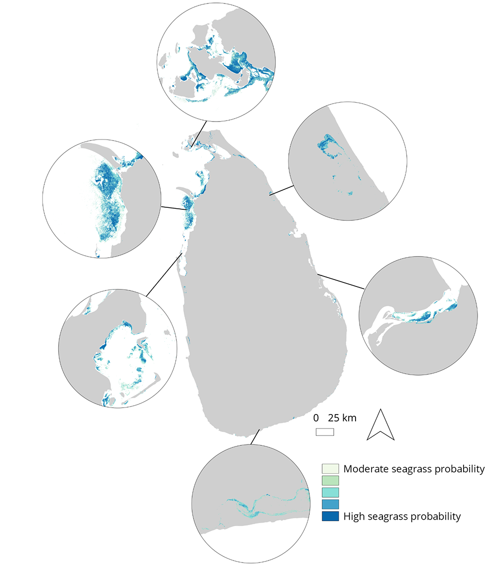 National Scale Seagrass Map