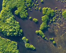Building capacity for habitat mapping and condition monitoring in the Cayman Islands